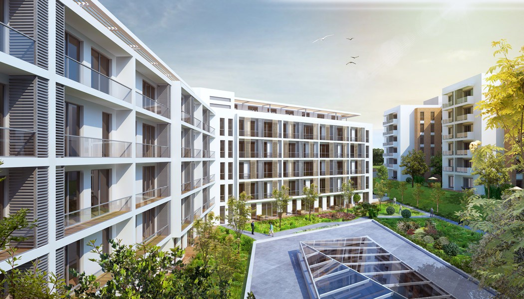 Project image 12