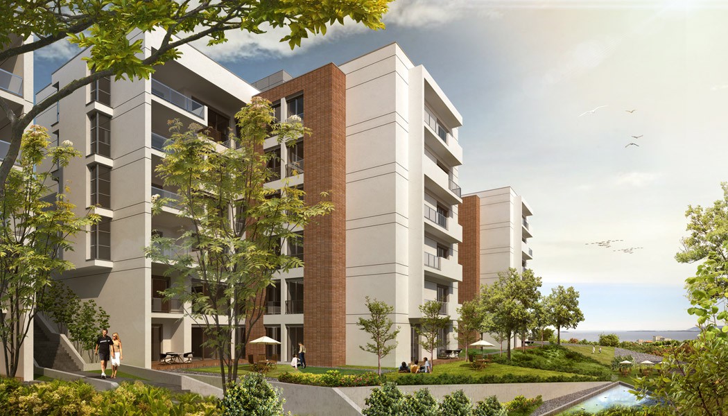 Project image 16