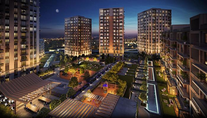 Project image 11