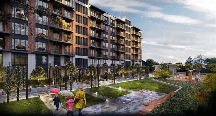 Project image 19