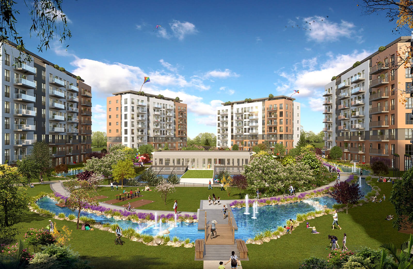 Project image 13
