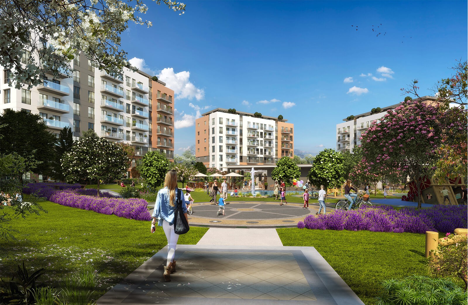 Project image 11