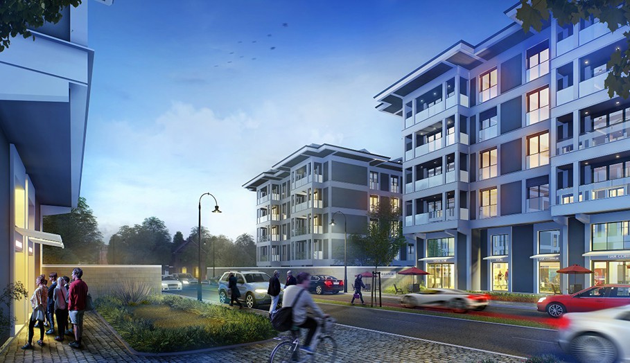 Project image 9