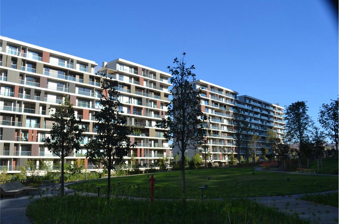 Project image 9