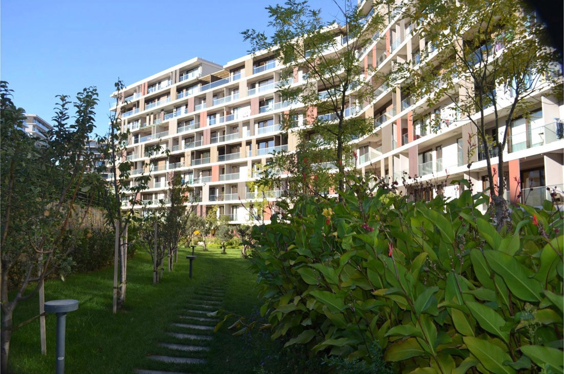 Project image 11