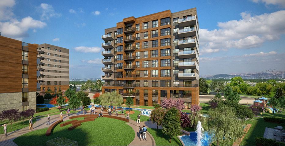 Project image 10