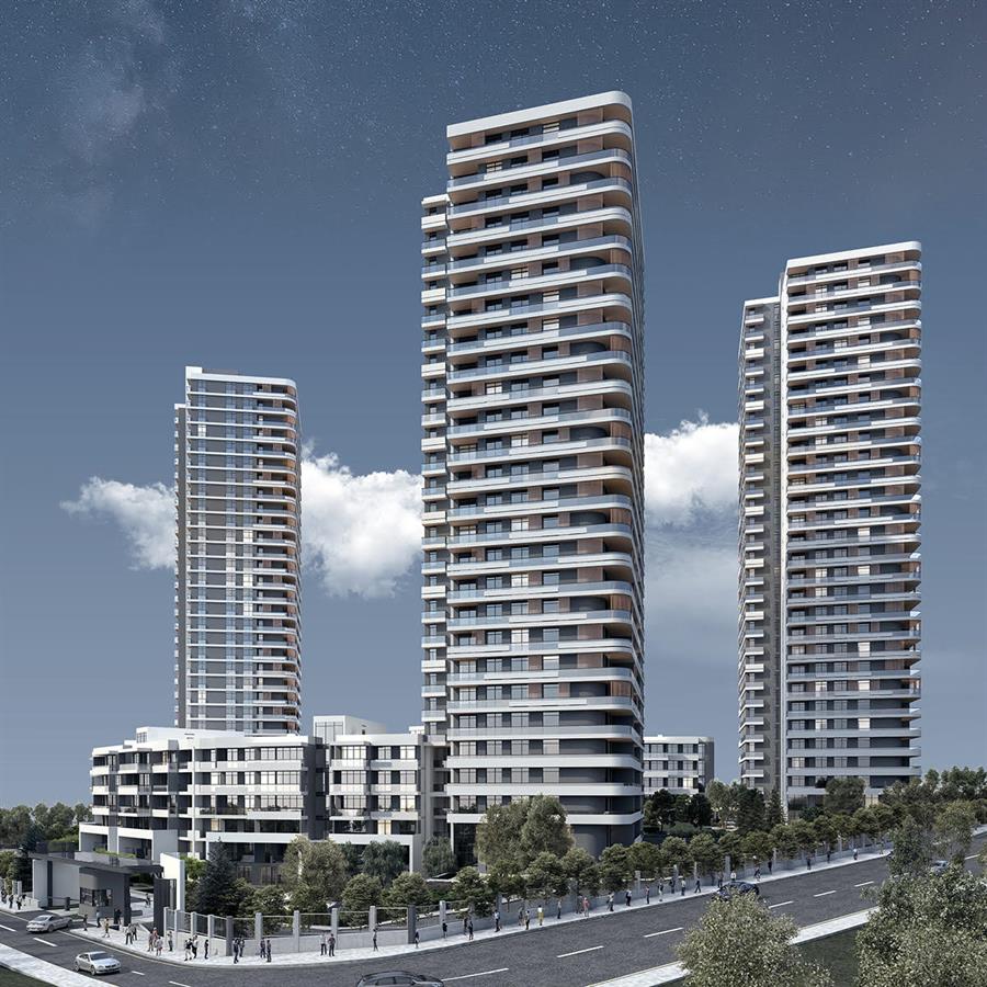 Project image 9