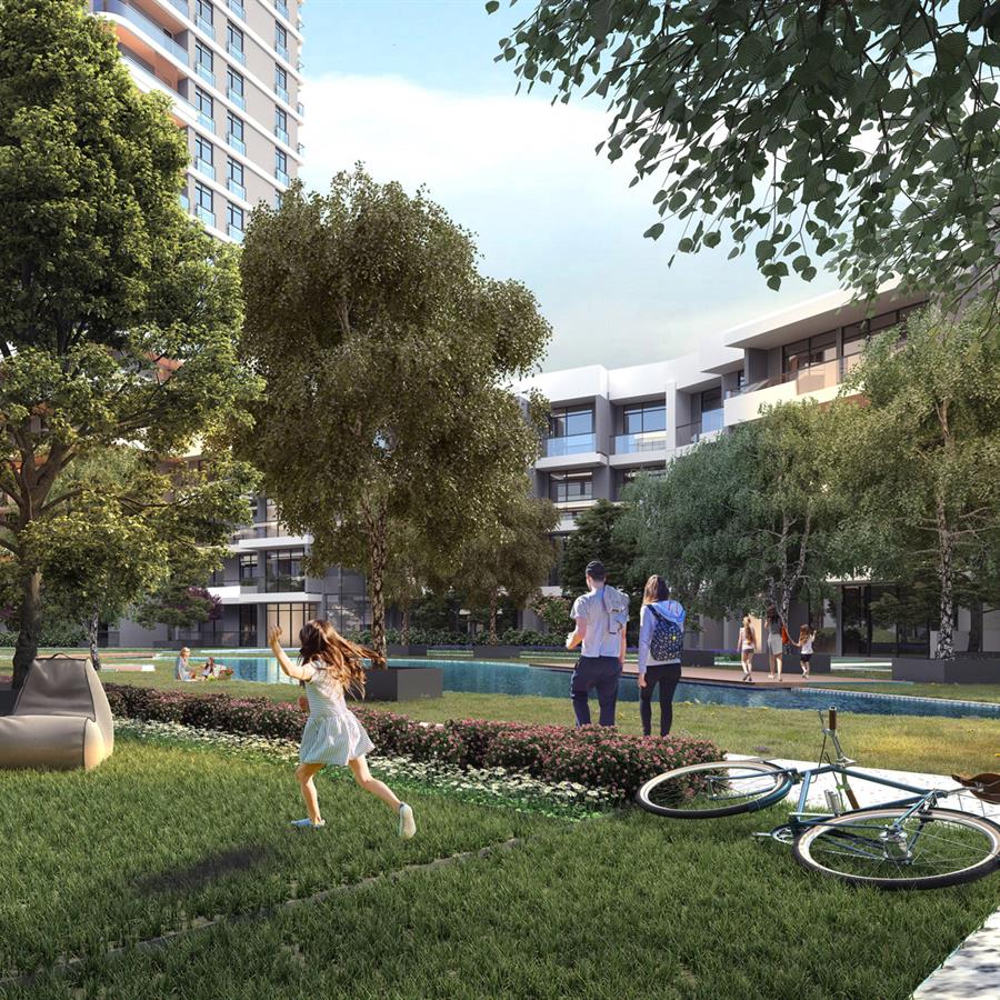 Project image 11
