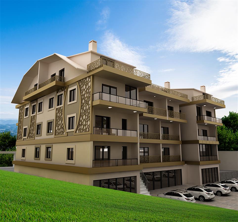 Project image 9