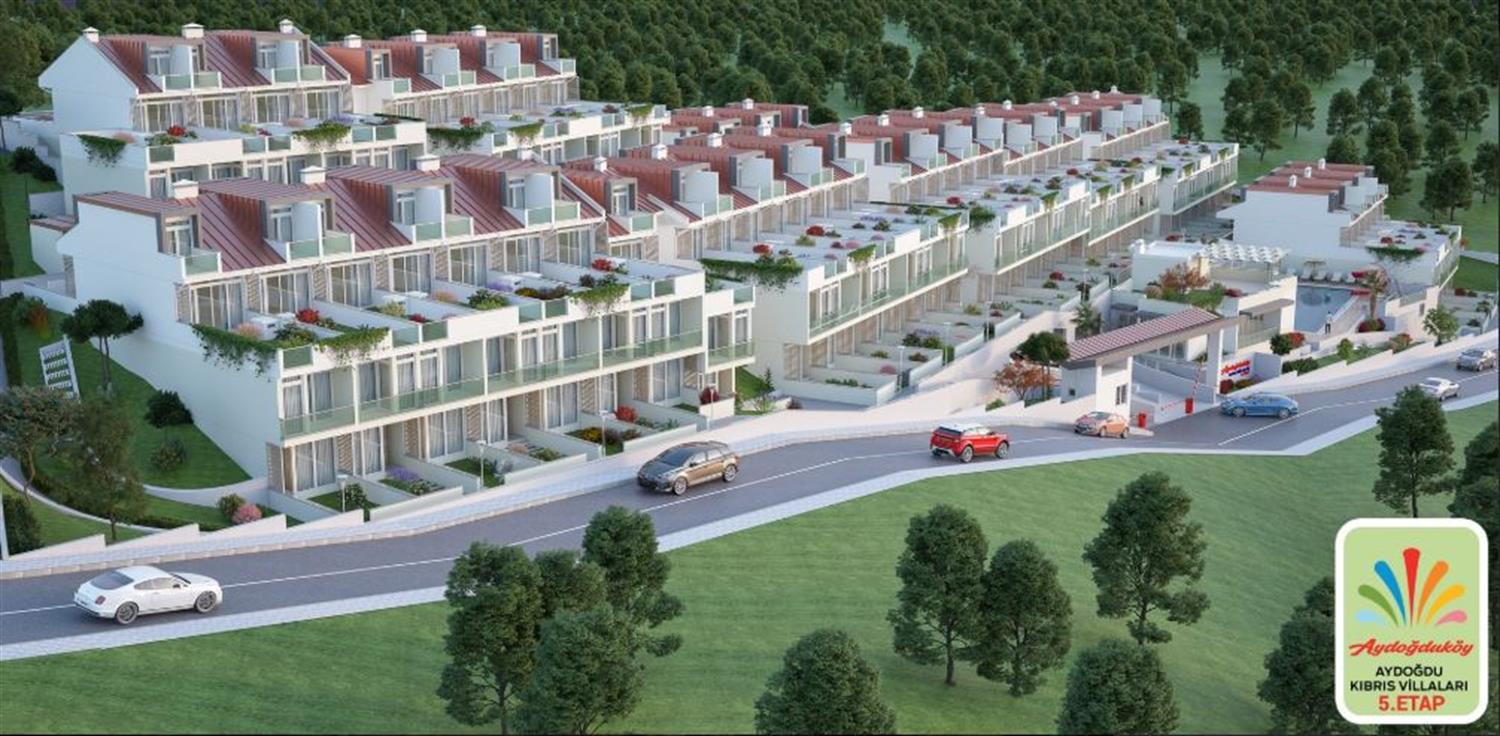 Project image 9