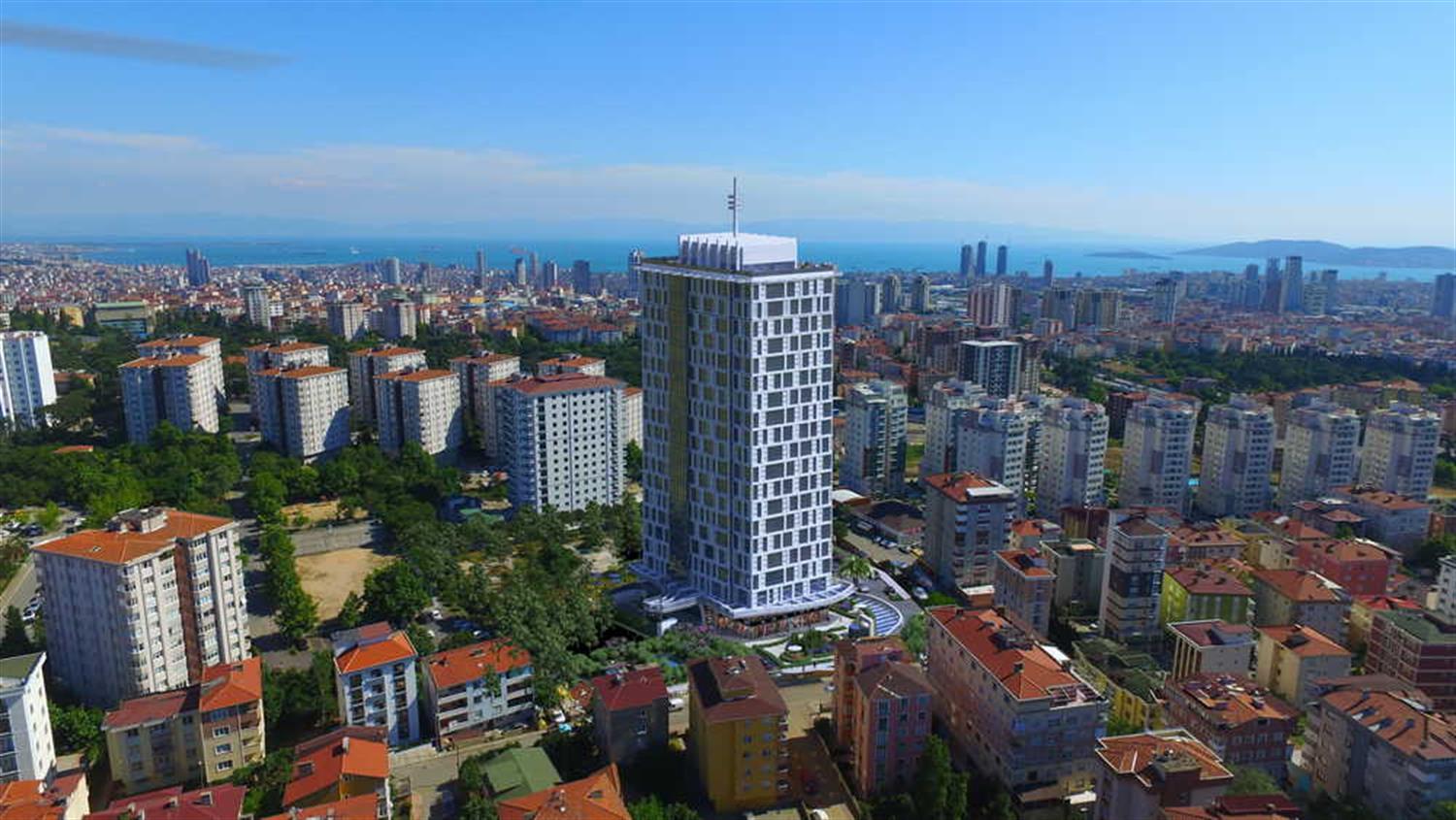 Project image 25