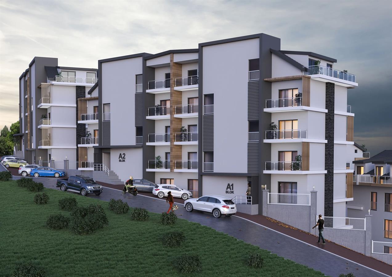 Project image 7