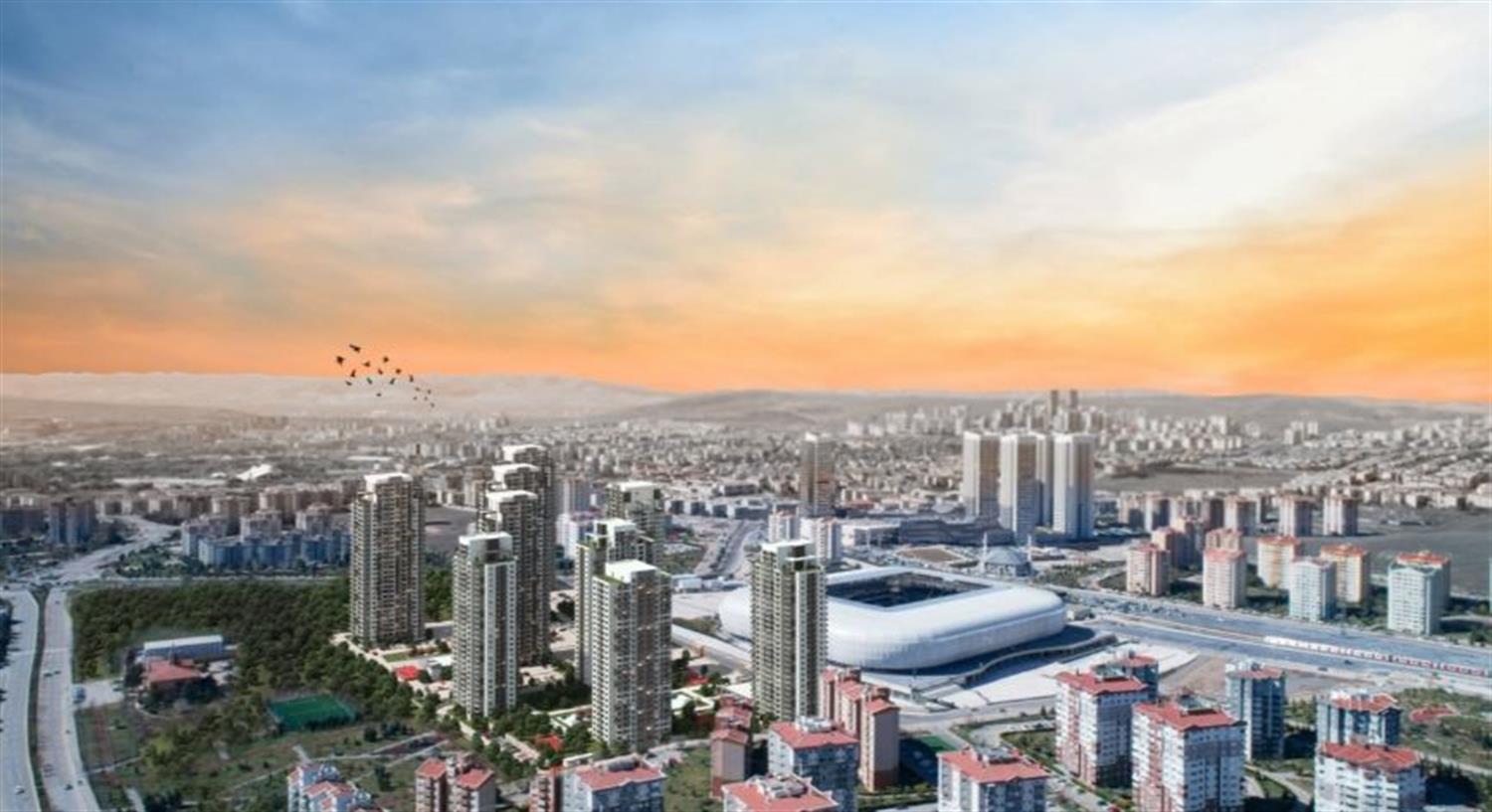 Project image 11