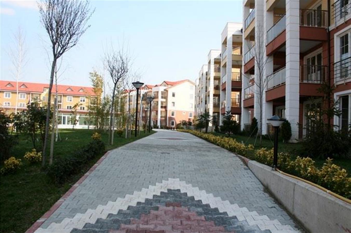 Project image 9