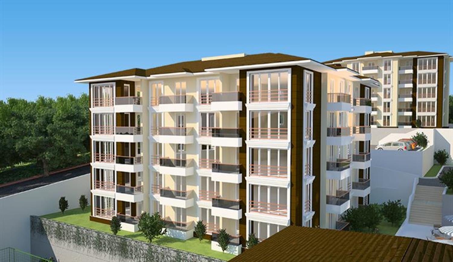 Project image 11