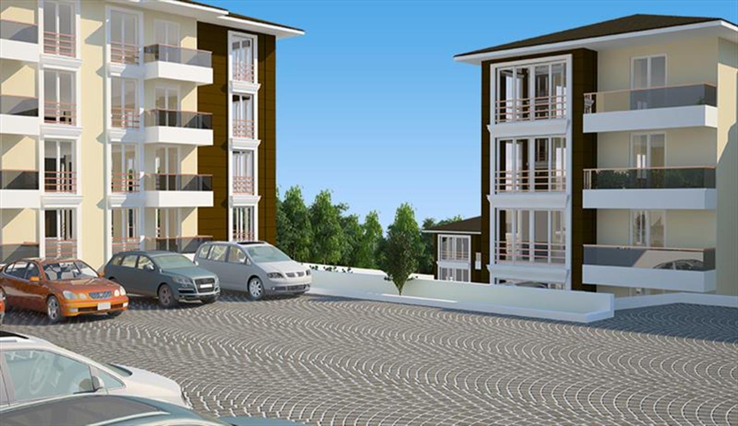 Project image 13