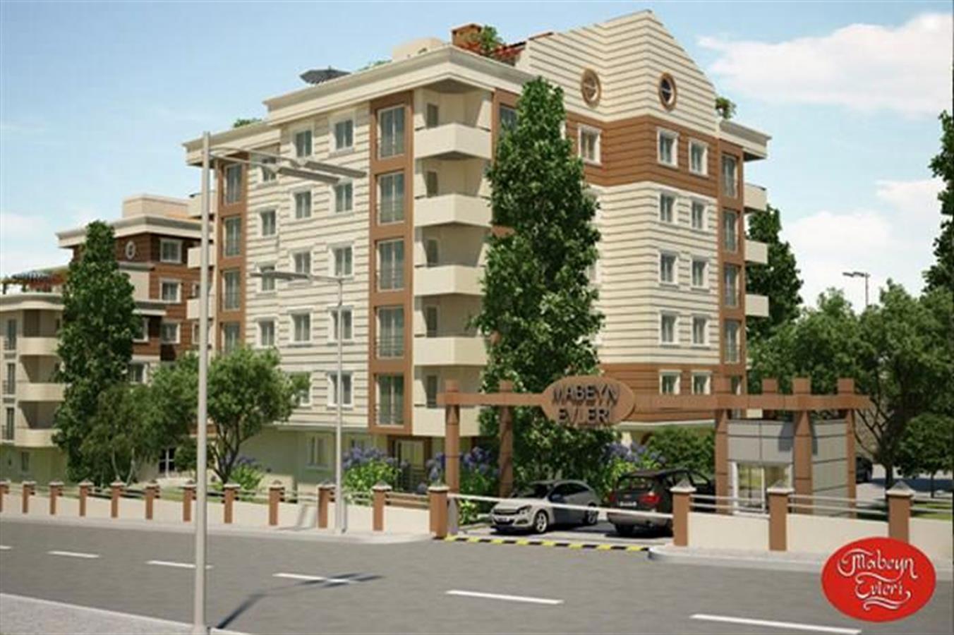 Project image 11