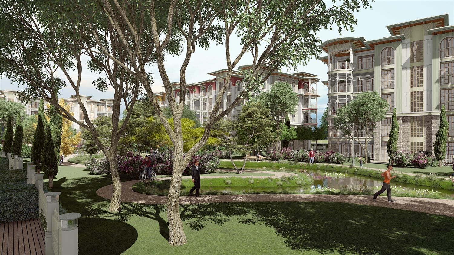 Project image 13