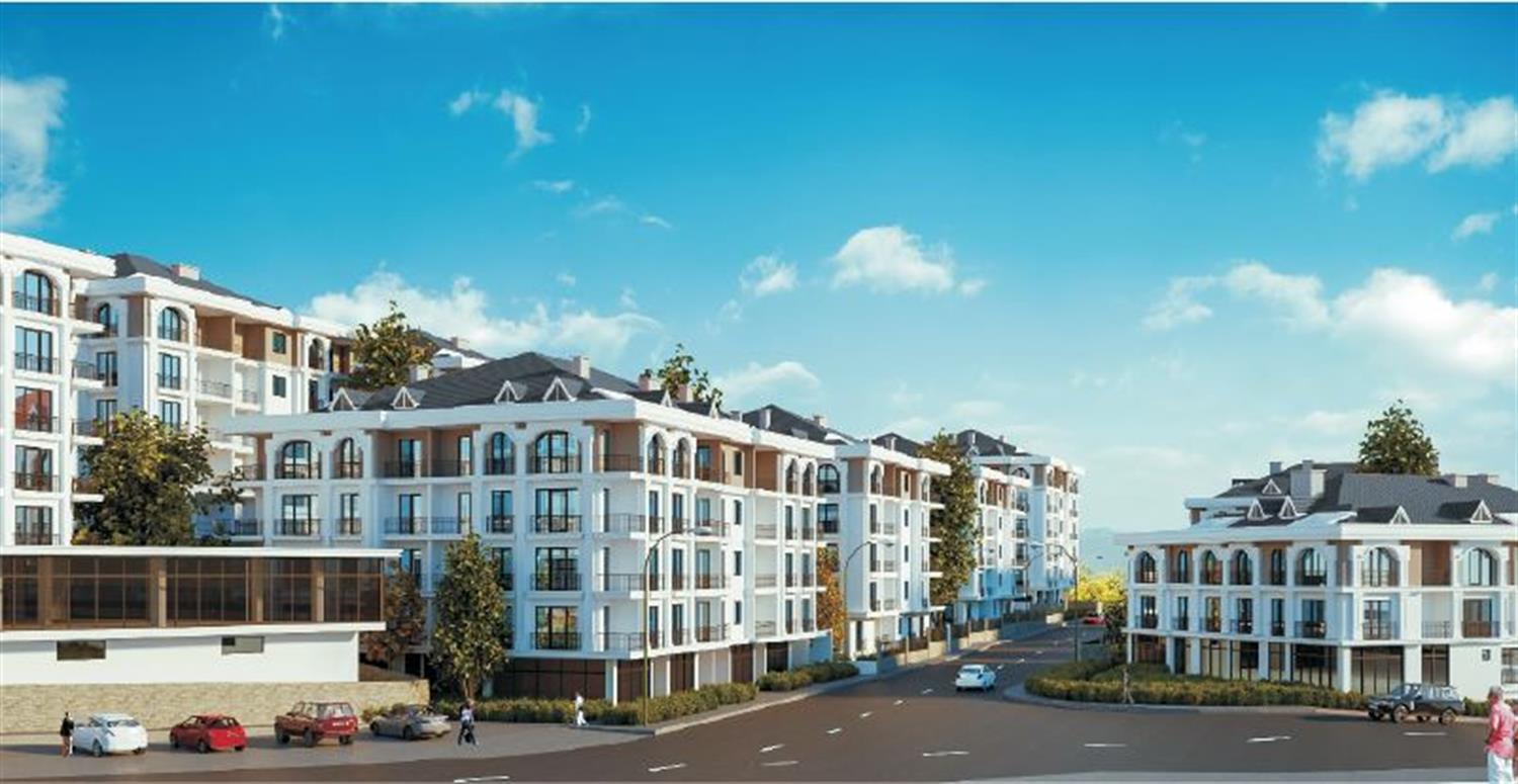Project image 11
