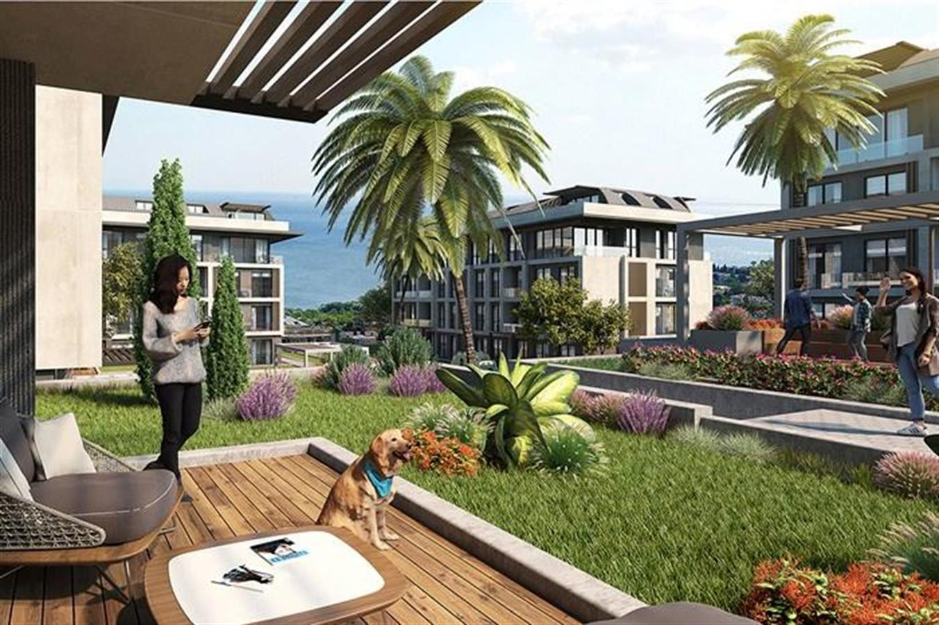 Project image 9