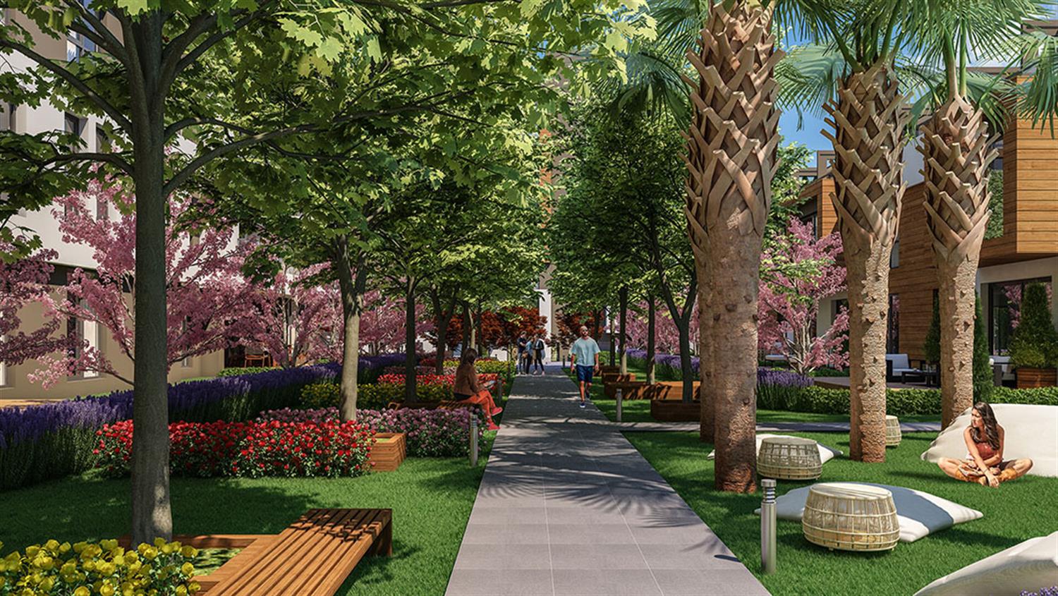 Project image 19