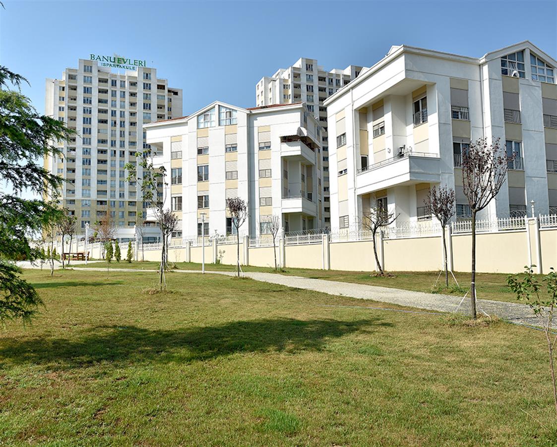 Project image 11
