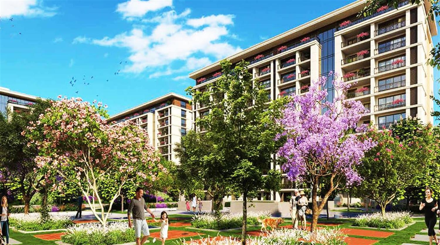 Project image 15