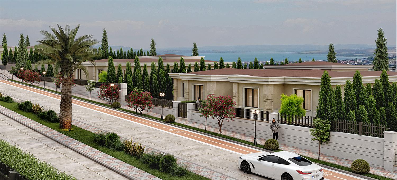 Project image 11