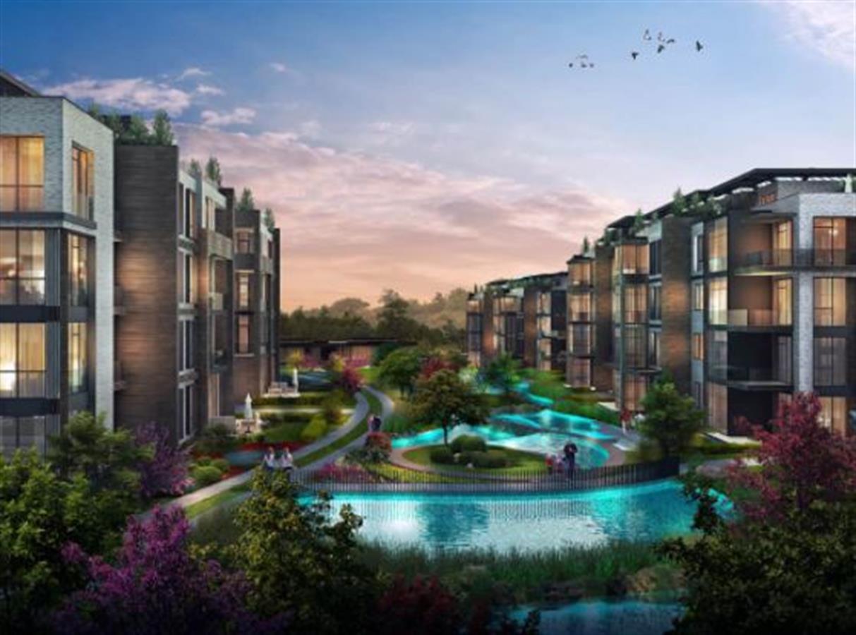 Project image 13