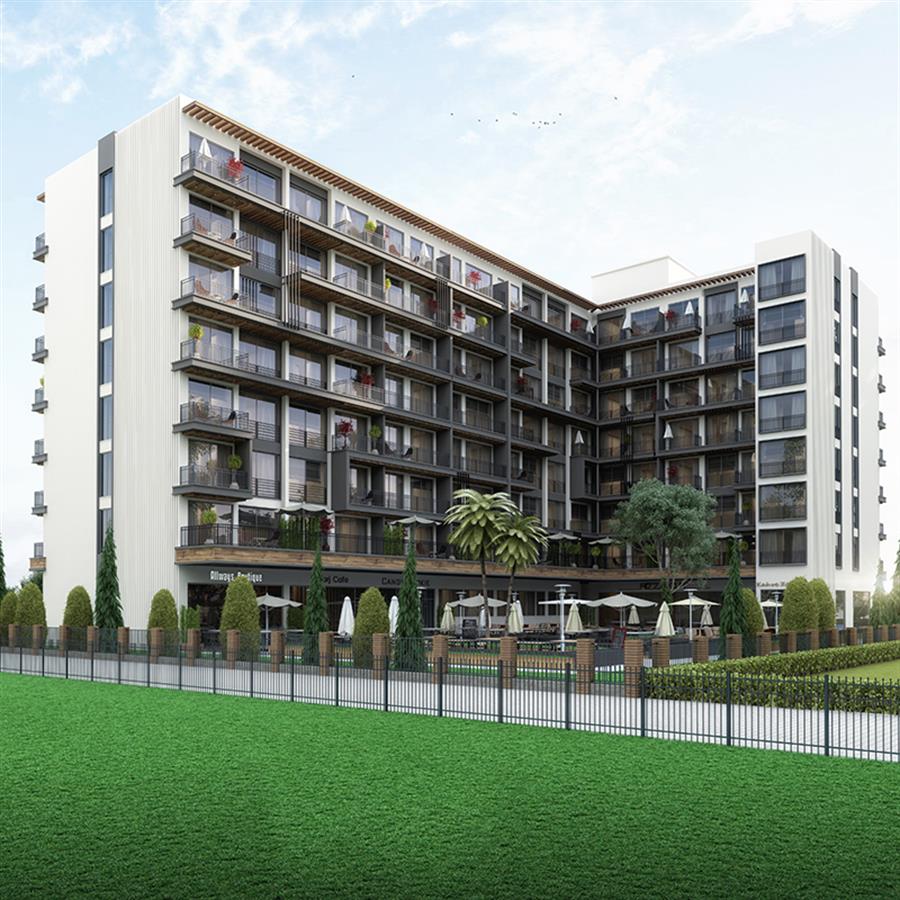 Project image 11
