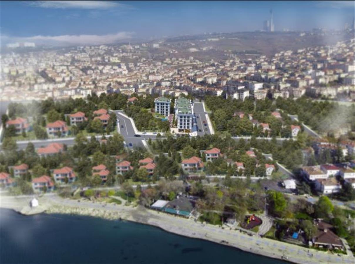 Project image 15