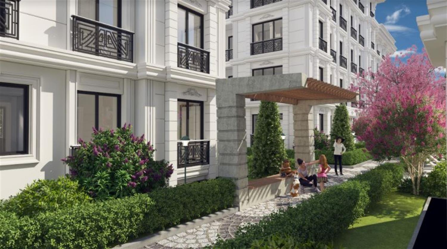 Project image 19