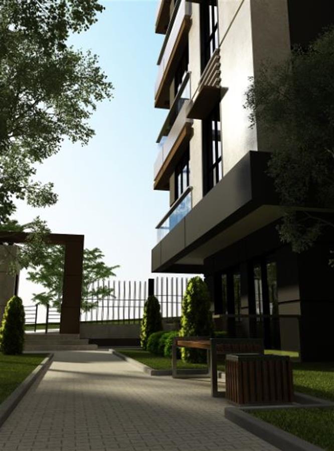Project image 21