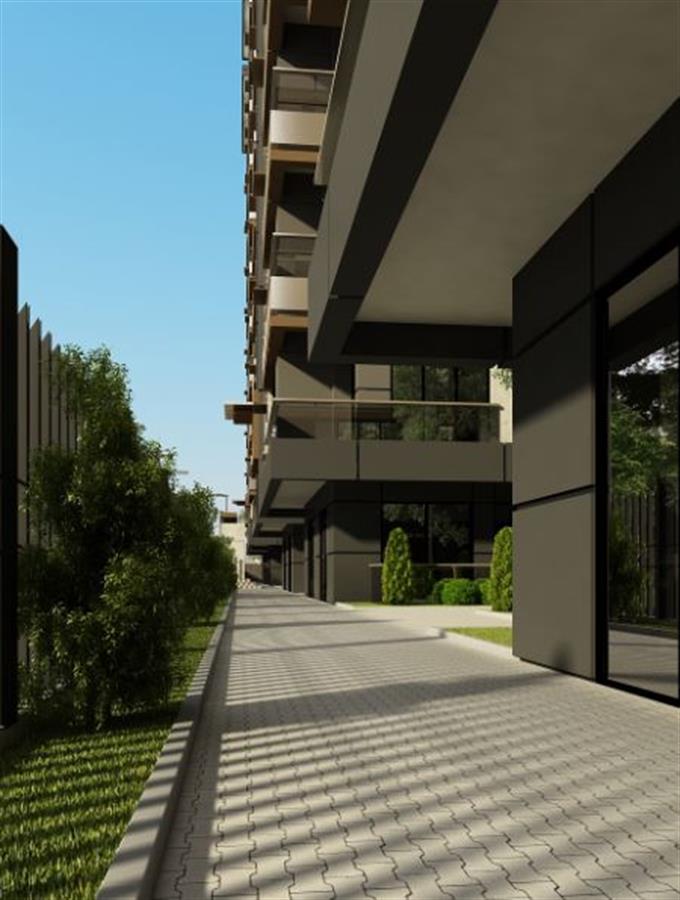 Project image 17
