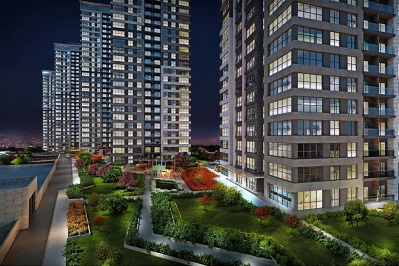 Project image 13
