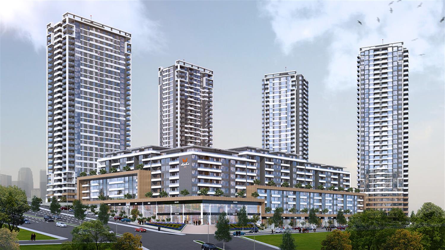 Project image 11