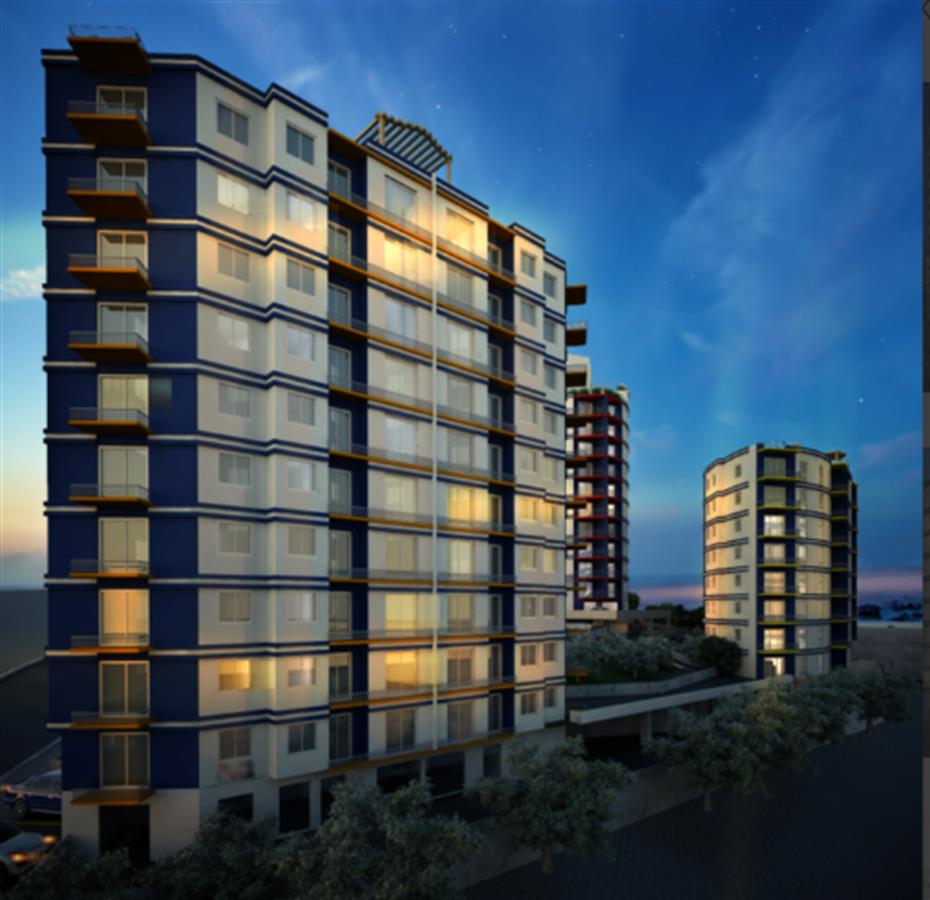 Project image 11