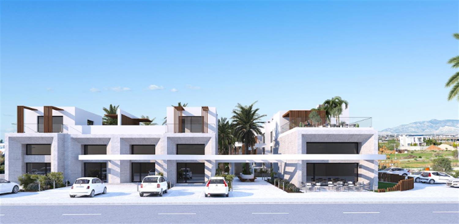 Project image 13