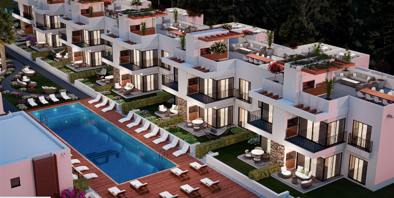 Project image 15