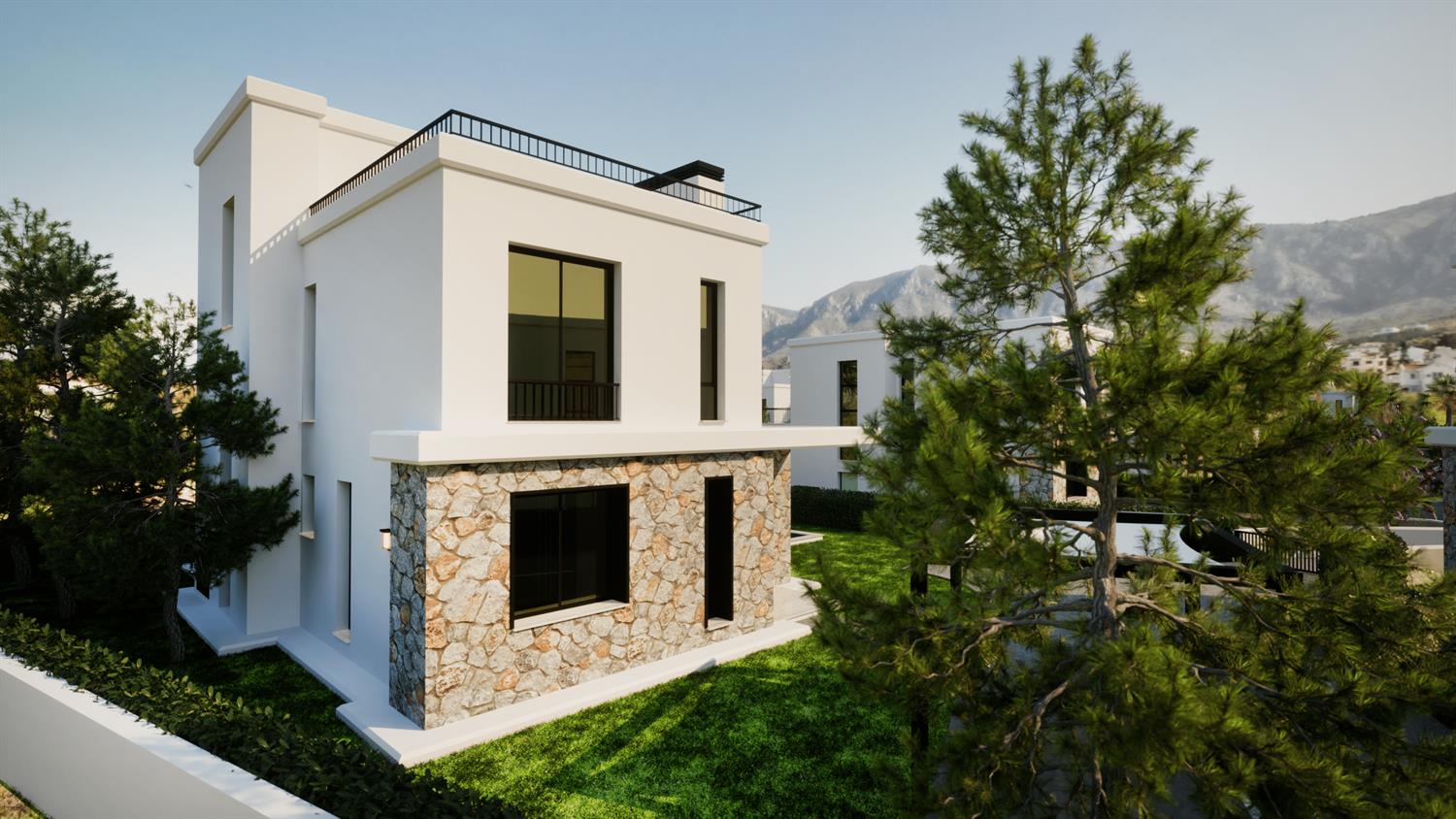 Project image 11