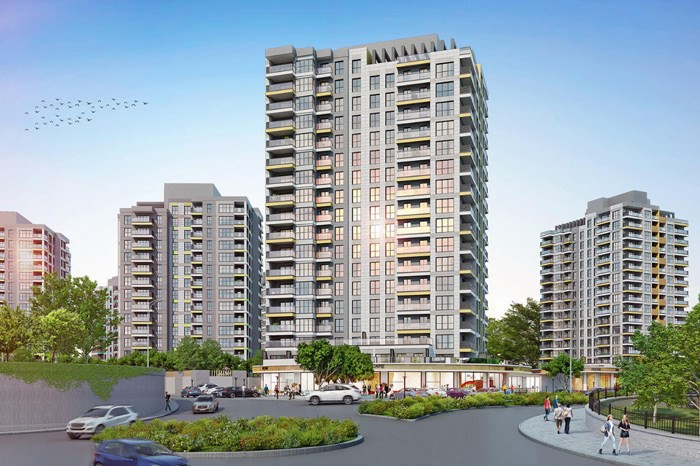 Project image 13