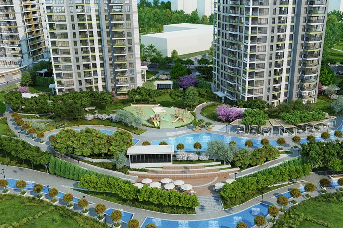 Project image 11