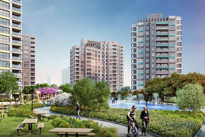 Project image 19