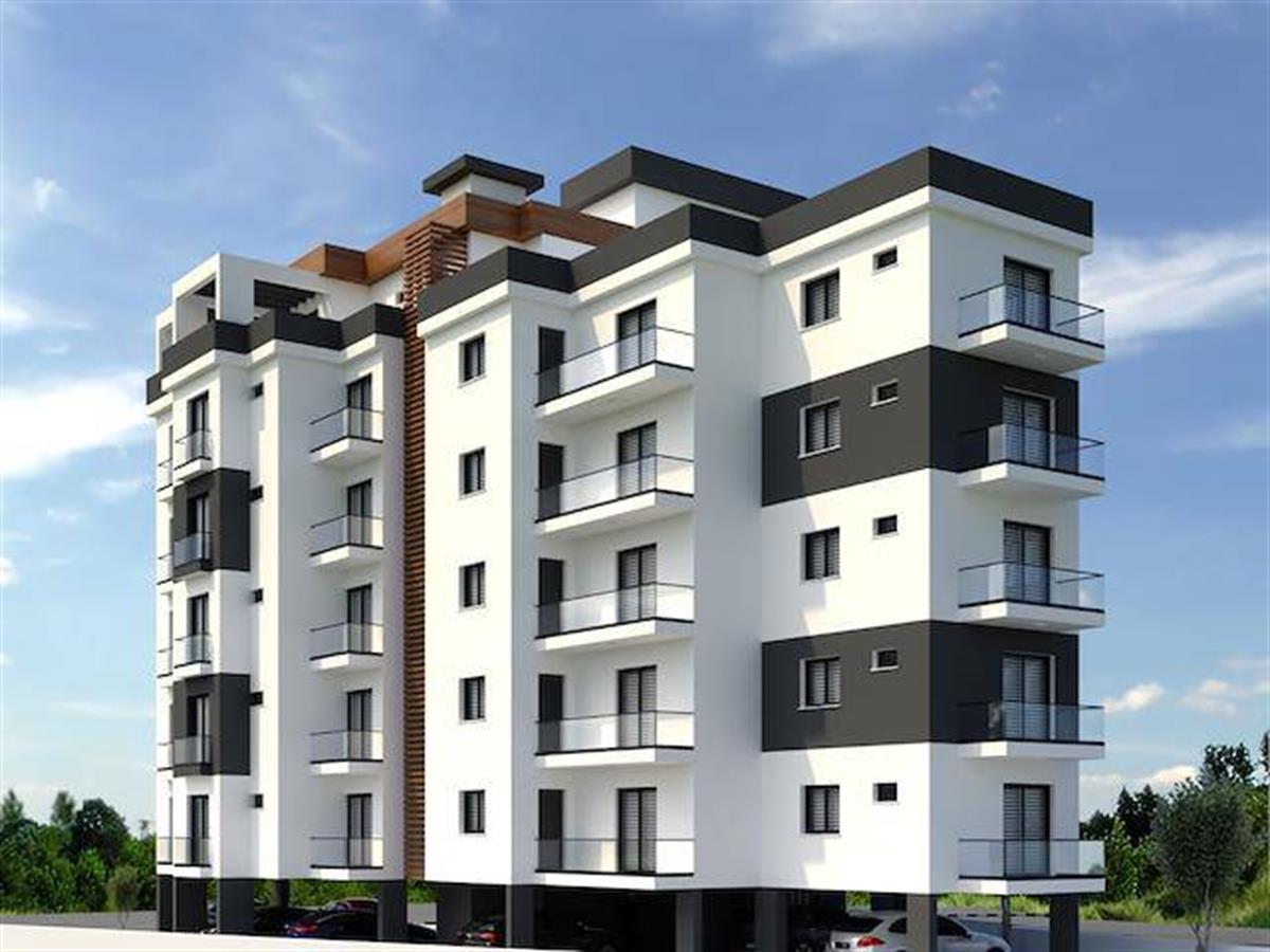Project image 9