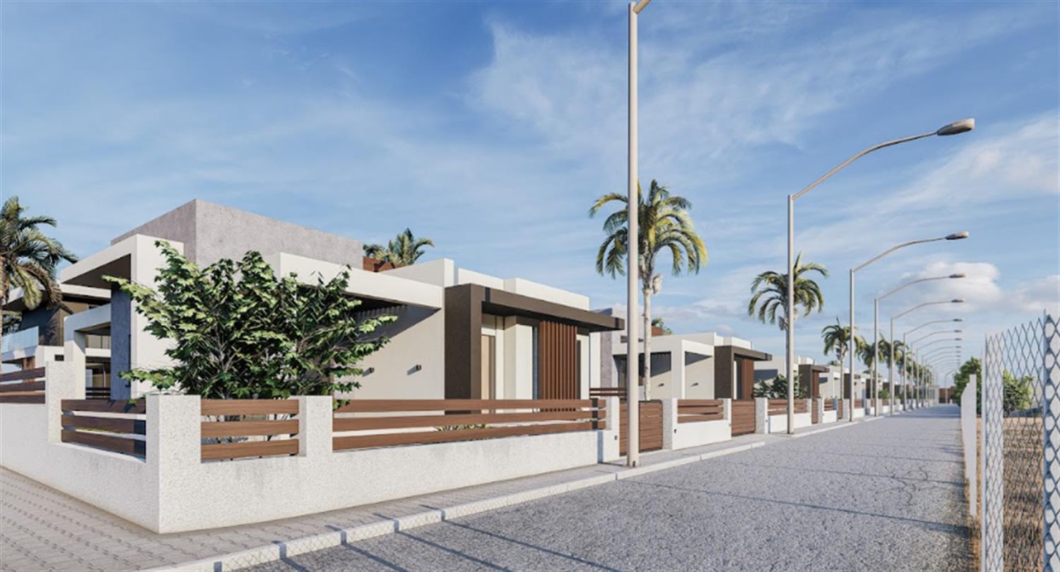 Project image 11