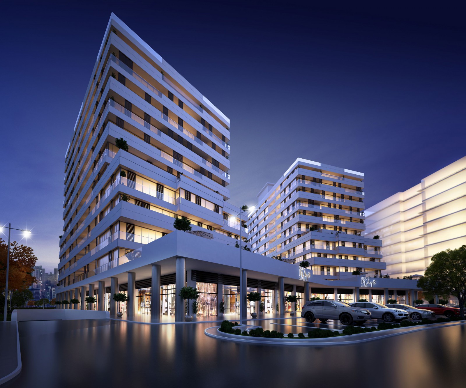 Project image 11