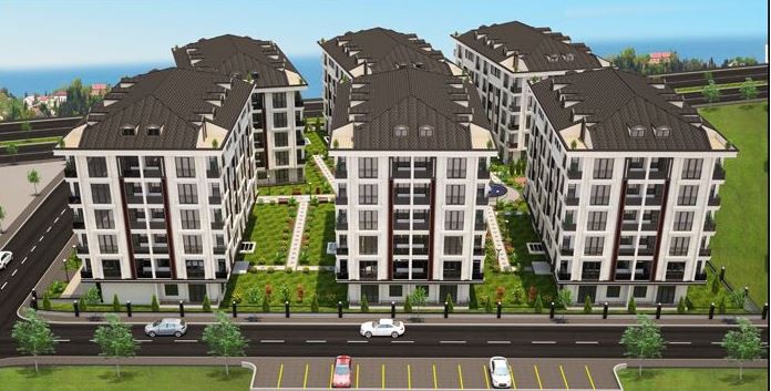 Project image 13