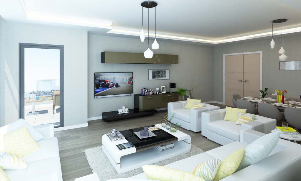 Project image 11