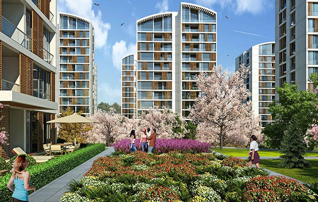 Project image 11