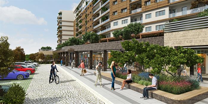 Project image 13